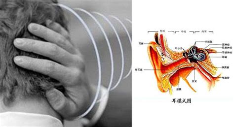 左耳耳鳴|耳朵嗡嗡叫，持續耳鳴怎麼辦？一文看懂「耳鳴」的8。